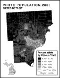 Detroit Percent White 2000